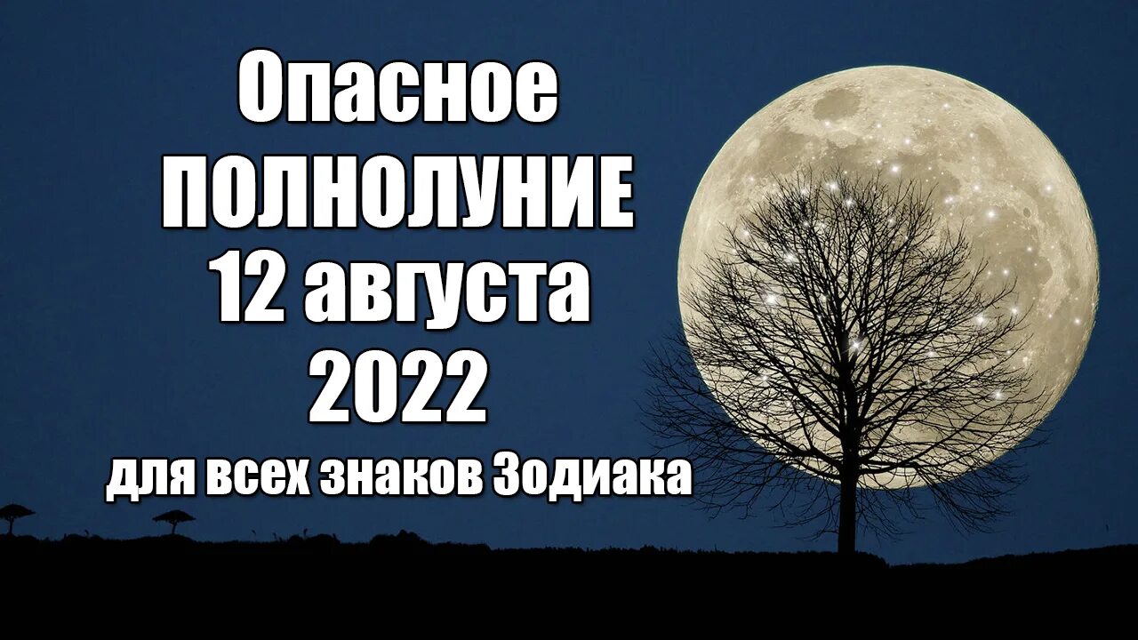 12 полнолуний. Полнолуние в августе. Суперлуние август 2022. Полнолуние в августе 2022. Полнолуние 12 августа 2022 года.