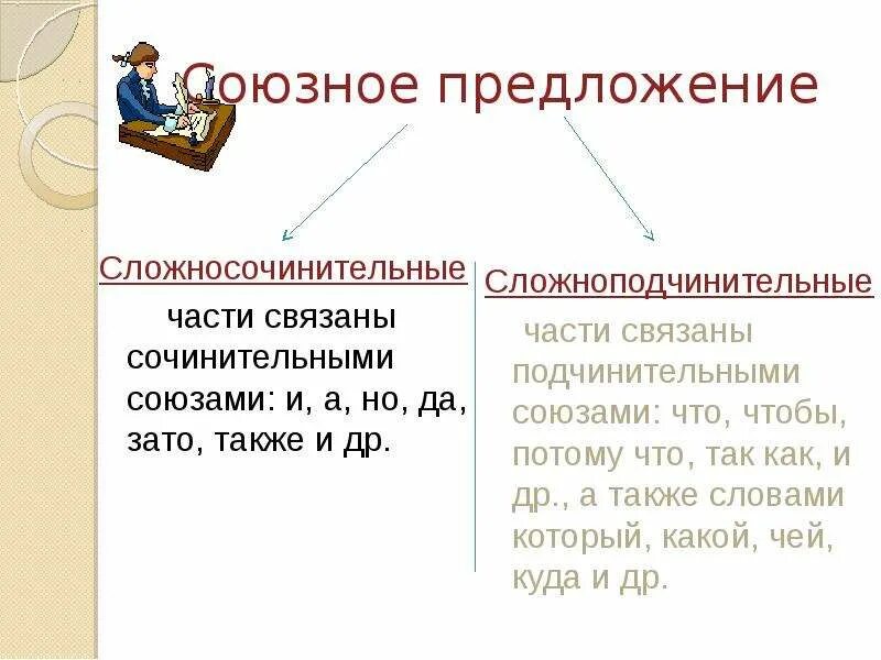 Сколько в тексте сложных предложений. Союзные предложения. Сложные союзные предложения. Сложно союзные предложения примеры. Сложные союзные предложения примеры.