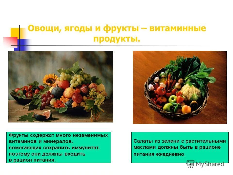 Овощи фрукты содержат. Овощи фрукты содержат