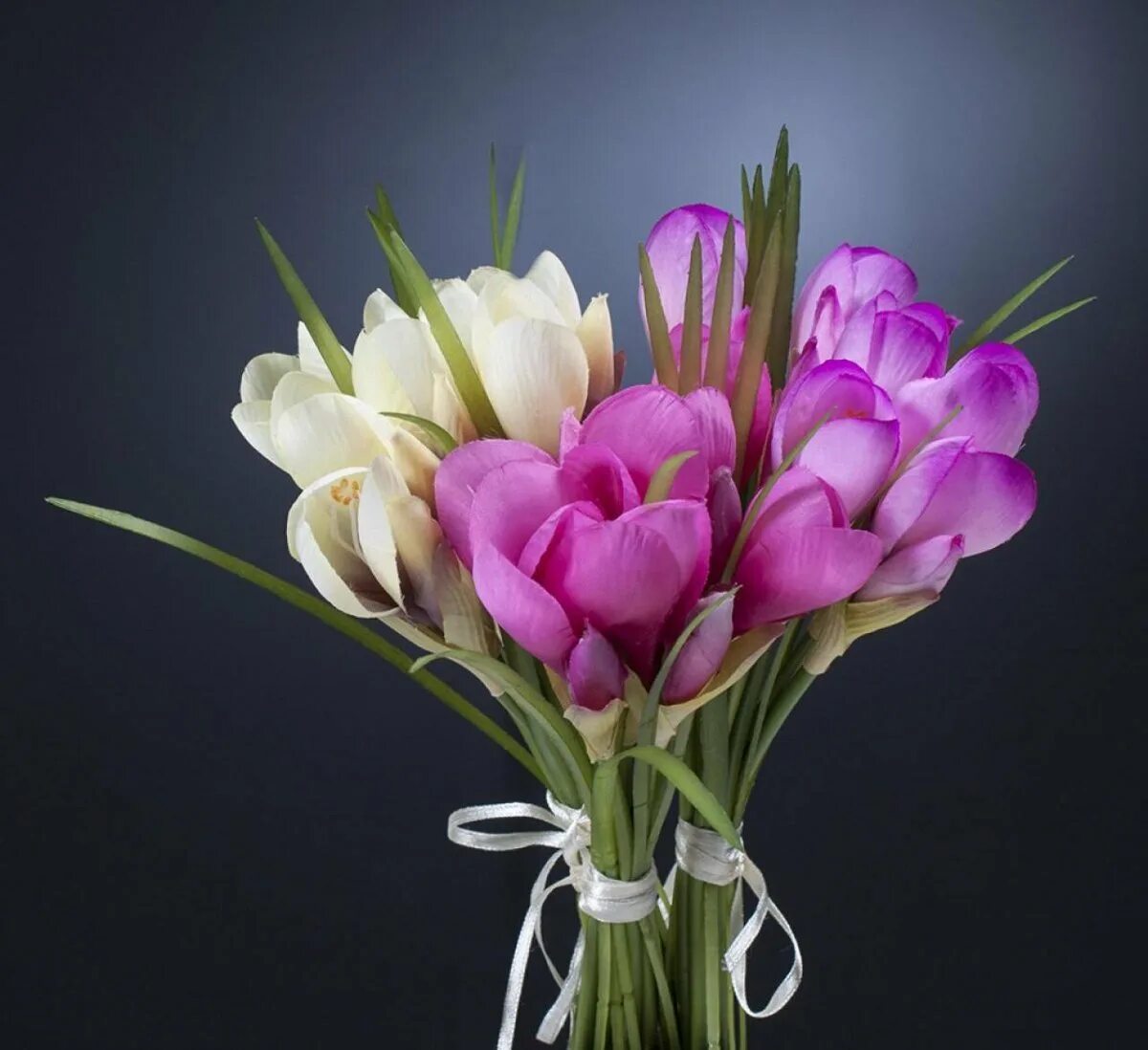 Фрезия Крокус. Фрезия Монобукет. Saffron Crocus Bouquet. Фрезия цветок Крокус. Картинка цветы тюльпаны букеты