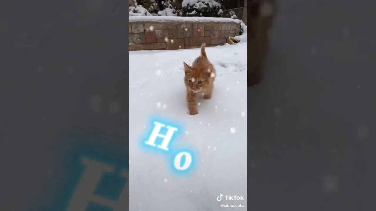 Картинки симбочки младшего