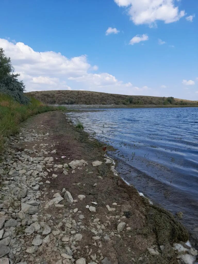 Можайское водохранилище фото. Приток ириклинского водохранилища сейчас. Ириклинское водохранилище дамба. Ириклинское водохранилище оренбургская. Ириклинское водохранилище.