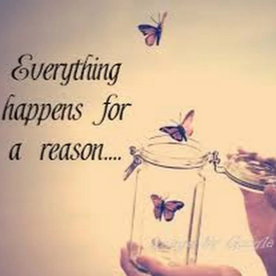 Happen for a reason. Everything happens for a reason бабочка картинка. Everything happens for a reason. For everything a reason.