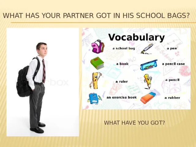 Have you got much books. What have you got in your School Bag 5 класс. What have you got in your School. What have you got in your Schoolbag. What have you got ответ.