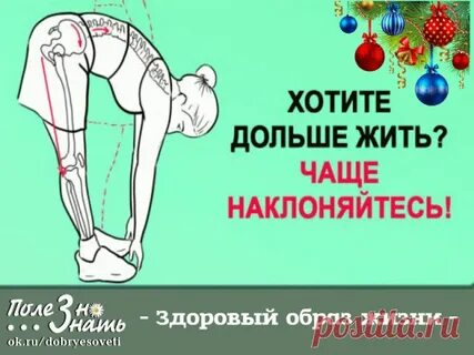 Живи долго живи хорошо книга