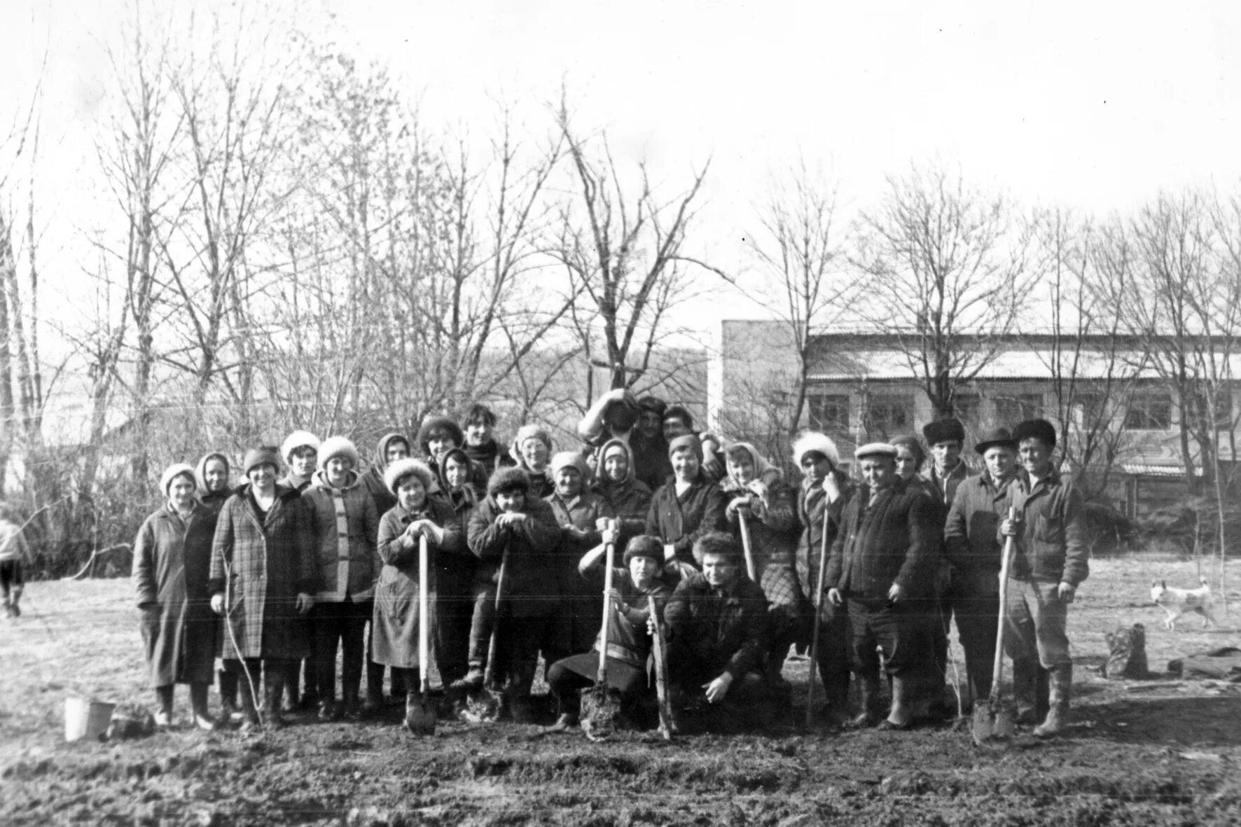 Поселок дубенский оренбургская область. Гвардейский поселок тульская область. Гвардейский поселок тульская область. Выборг поселок гвардейский фото. Гвардейский поселок тульская область.