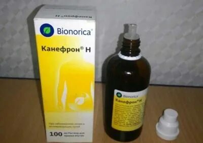 Канефрон при беременности 3 триместр