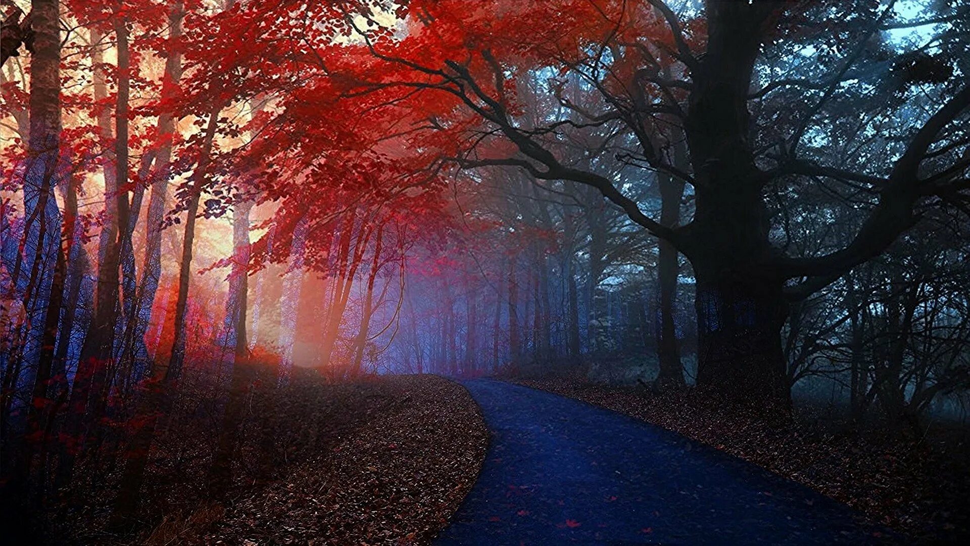 Красивый лес. Красный лес. Красная природа. Багрянец арт. Багровый лес.