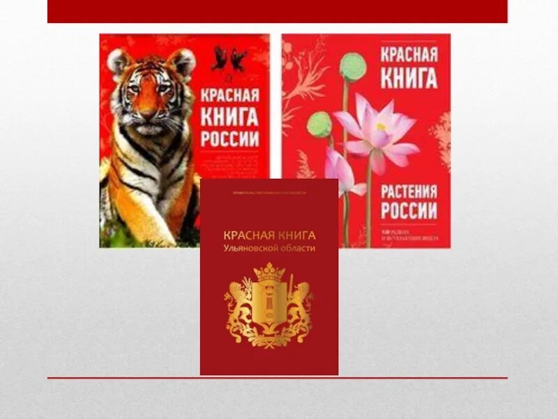 Красная книга россии цвета. Красная книга Ульяновской области животных. Красная книга Ульяновской области. Красная книга Ульяновской области книга. Красная книга России.