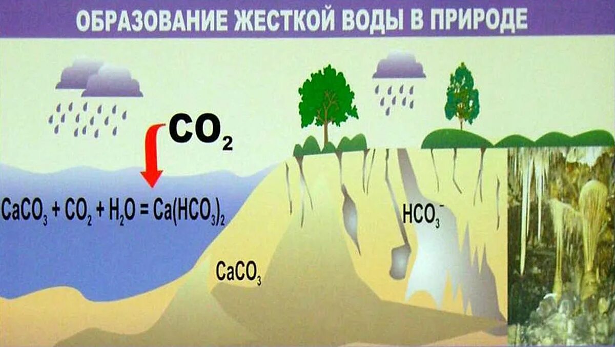 Образование жесткой воды. Образование жесткости воды в природе. Вода в природе жесткость воды. Происхождение жесткости воды.