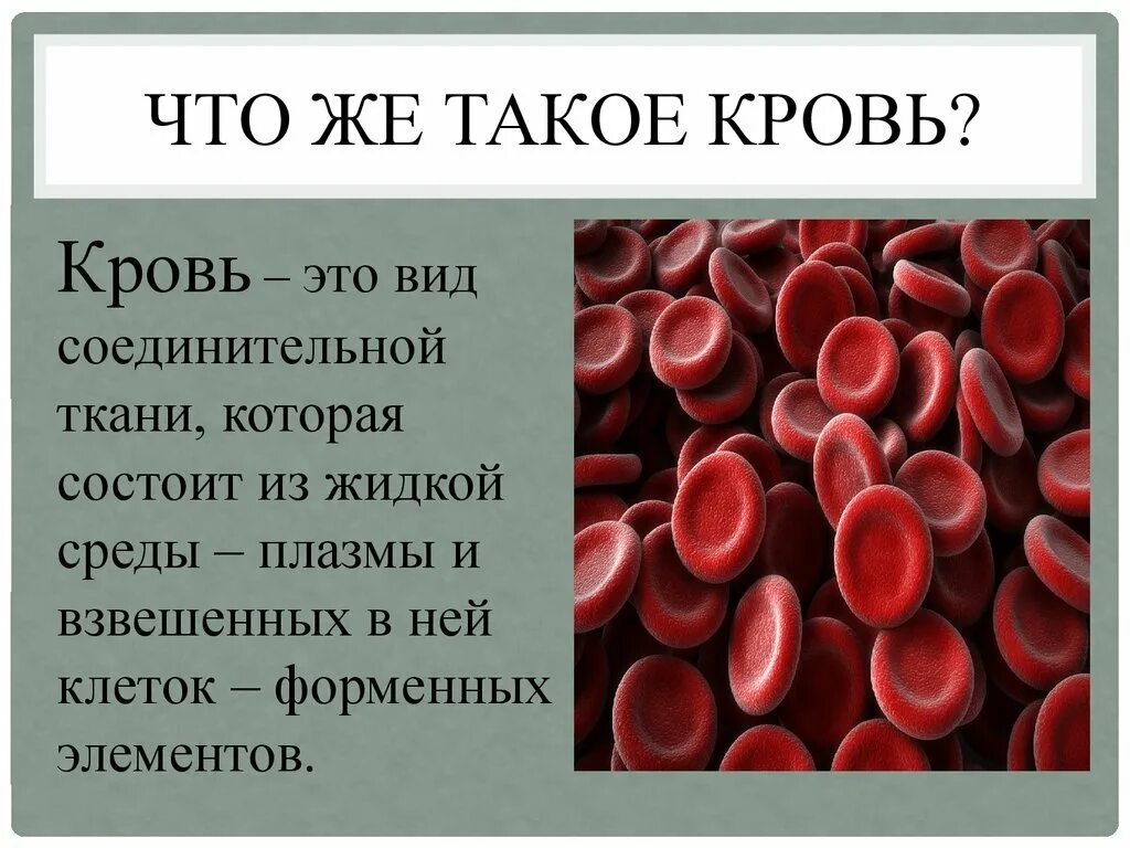 Сколько течет кровь. Кровь человека презентация. Кровь доклад. Клетки крови.