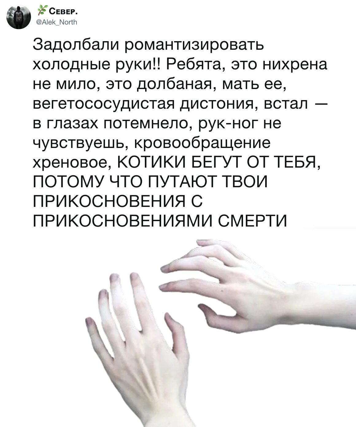 Всегда холодные руки. Холодные руки. Почему руки всегда холодные. Цитаты про холодные руки. Красивые цитаты про холодные руки.