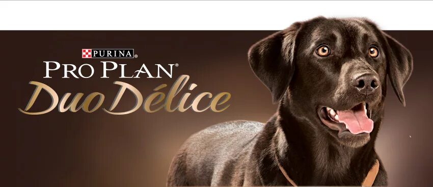 Purina Duo Delice корм для собак 10кг. Реклама корма для животных. Корм для собак реклама. Реклама корма для собак PROPLAN. Pro plan delice
