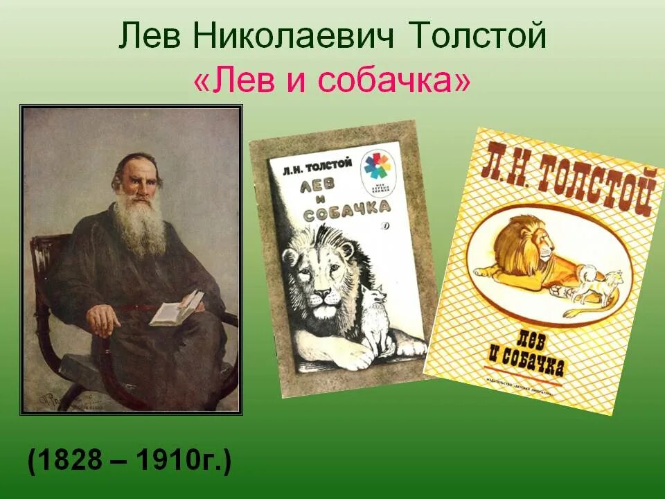 Рассказ про толстого 3. Л.н.толстой лев и собачка 3 класс. рассказы льва николаевича льва николаевича толстого. литературное чтение рассказ лев и собачка лев николаевич толстой. литературное чтение 3 класс собачка лев лев николаевич толстой.