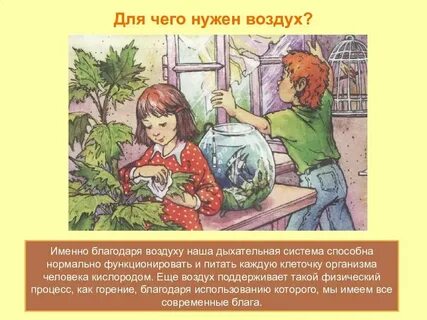 Значение воздуха для человека 2 класс
