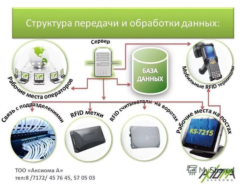 Виды юр лиц коммерческие организации. Тоо структура управления. Зарплаты в нефтянке. Данные тоо. Данные тоо.