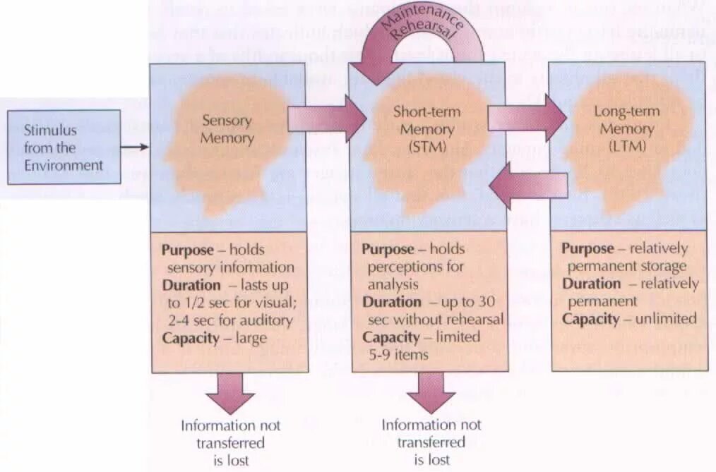 Short memory. Types of Human Memory. Main Types of Human Memory. Two Types of Computer Memory. Different Types of Memory.