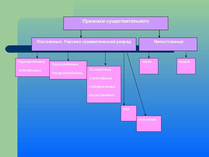 Лексико грамматическим признакам. Существительное лексико-грамматические разряды. Лексико-грамматические разряды имен существительных. Лексико-грамматические признаки существительных. Лексико-грамматический разряд существительного.