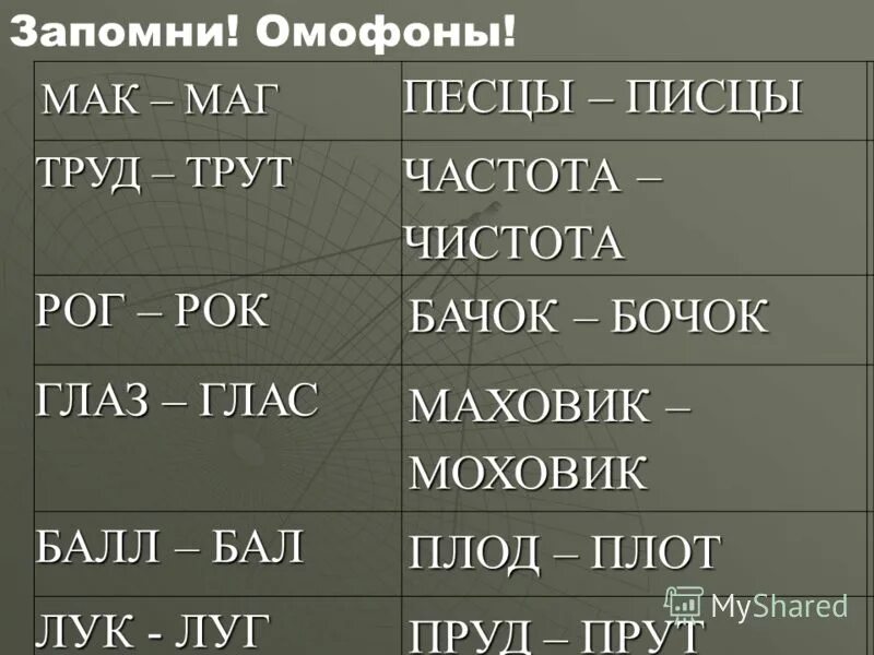 Примеры омофонов в русском. Примеры омофонов в русском