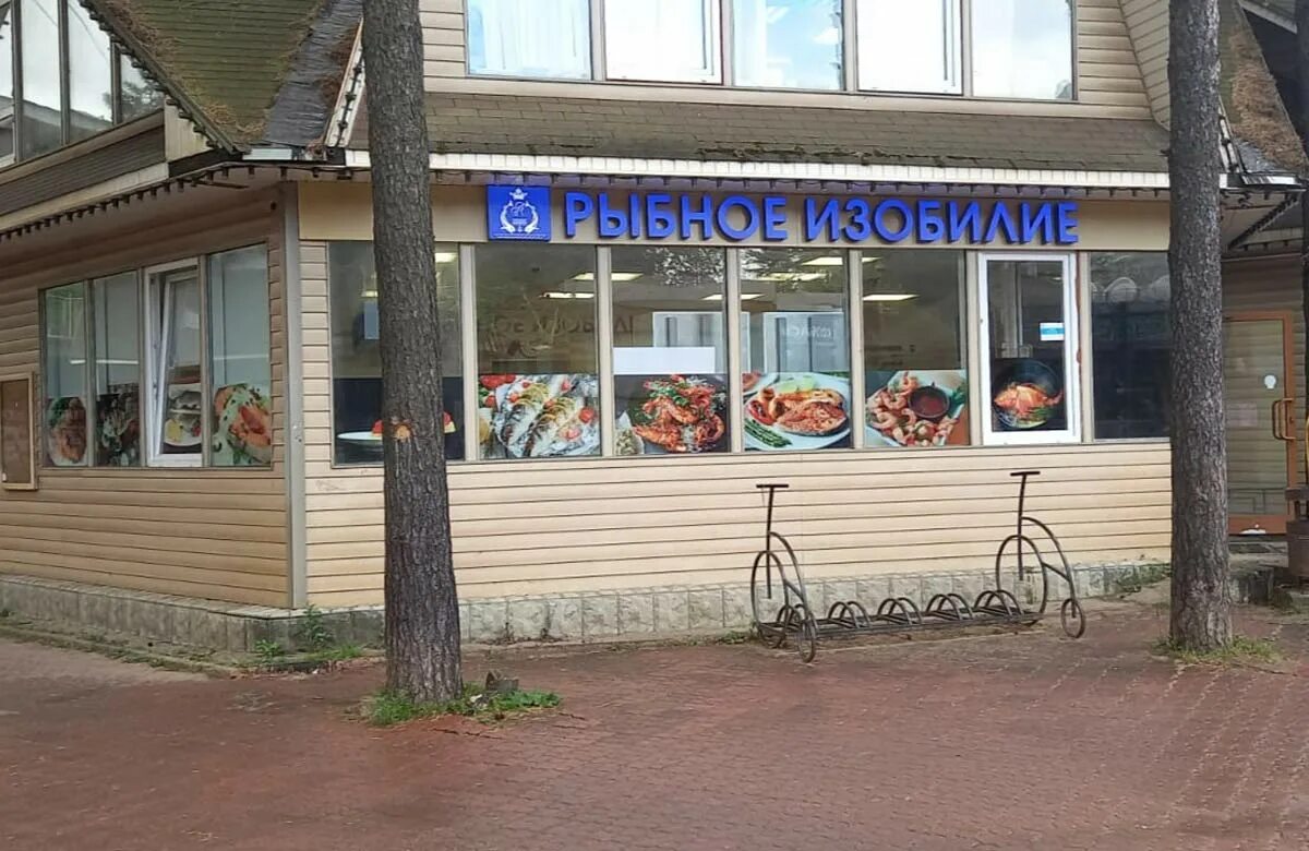 изобильный интернет. изобильный интернет. рыбное изобилие новопетровское. ставрополь кулакова 29г. танк в парке г.