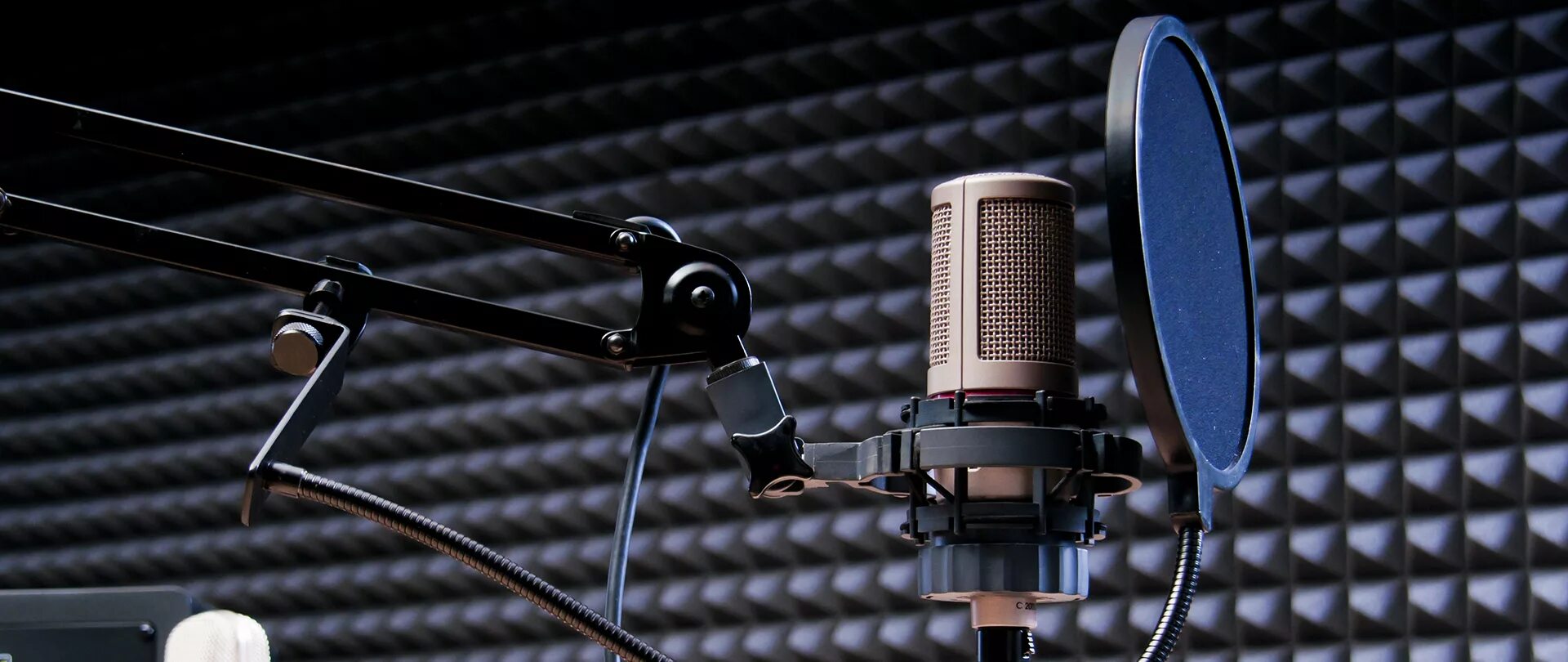 Микрофон для студии записи. Студийный микрофон dpa 2006c. Микрофон для студии записи. Rode k2 condenser valve microphone. Микрофон st103.