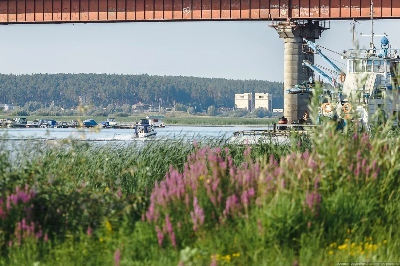 река самарка поселок волжский. речной морской вокзал вокзал архангельск. малая царевщина самарская область сок река. самарская область водный. река самара в самарской области.