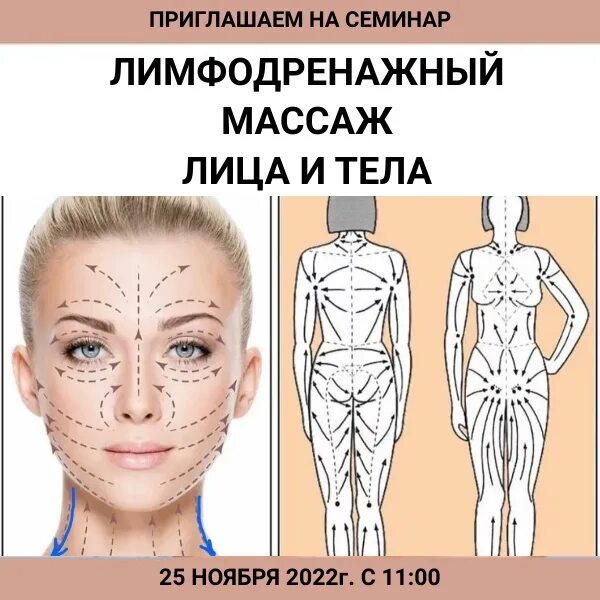 Шишова лимфодренажный массаж. Лимфодренажный массаж лица. линии лимфодренажного массажа лица. лимфодренажный массаж лица схема. массажные линии лица схема.