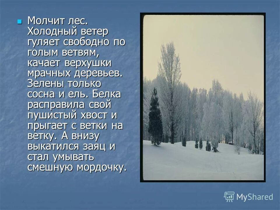 Эссе на тему зимнего леса. Текст про лес 6 класс. Лес осенью текст. Сочинение зимний лес. Текст про лес 6 класс.