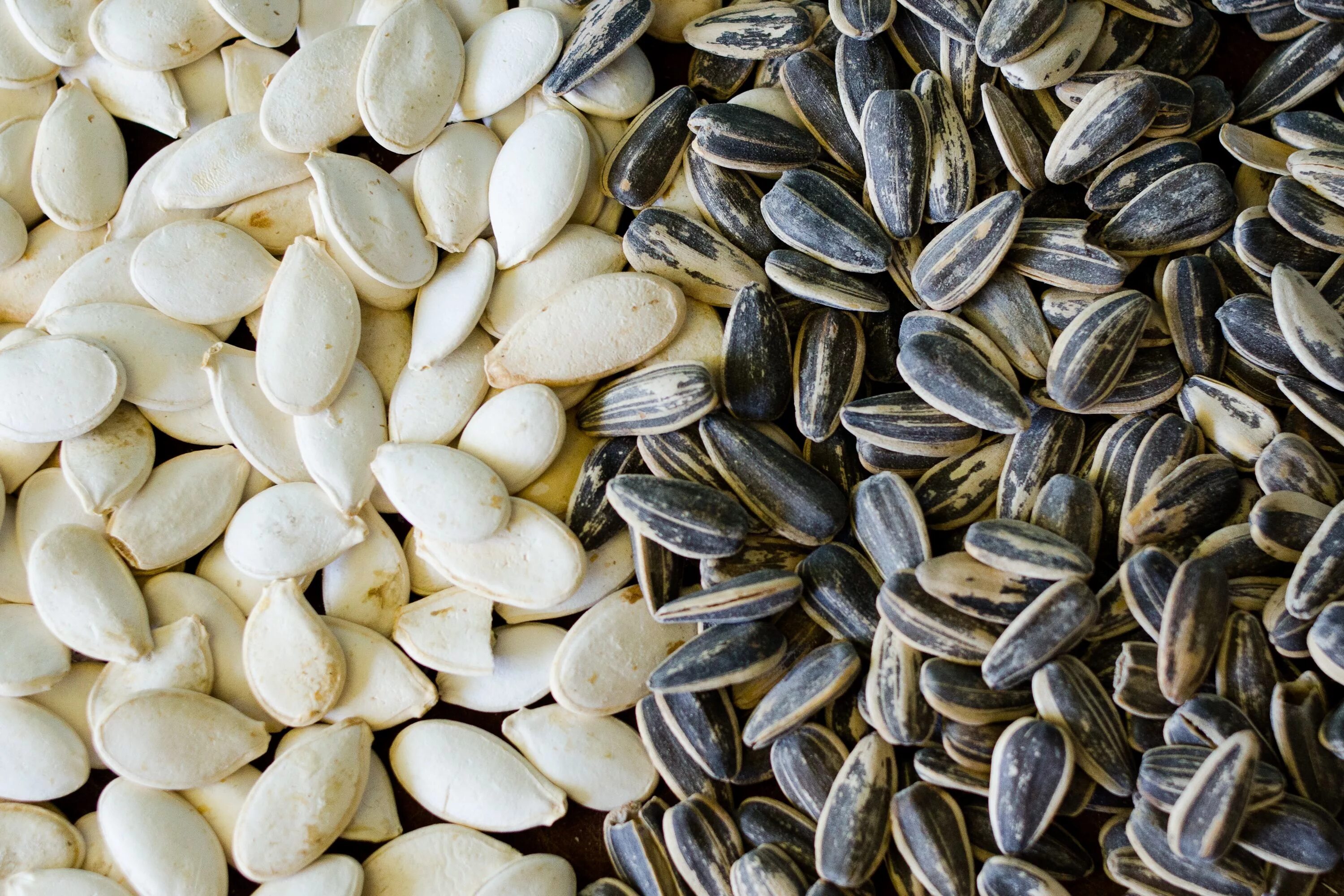 Семена подсолнечника (Sunflower Seeds. Семена тыквы. Семечки тыквы. Семечки подсолнечника и тыквы.