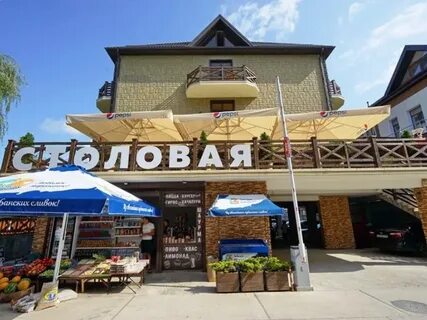 Горизонт 31