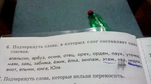 В слове ельник сколько