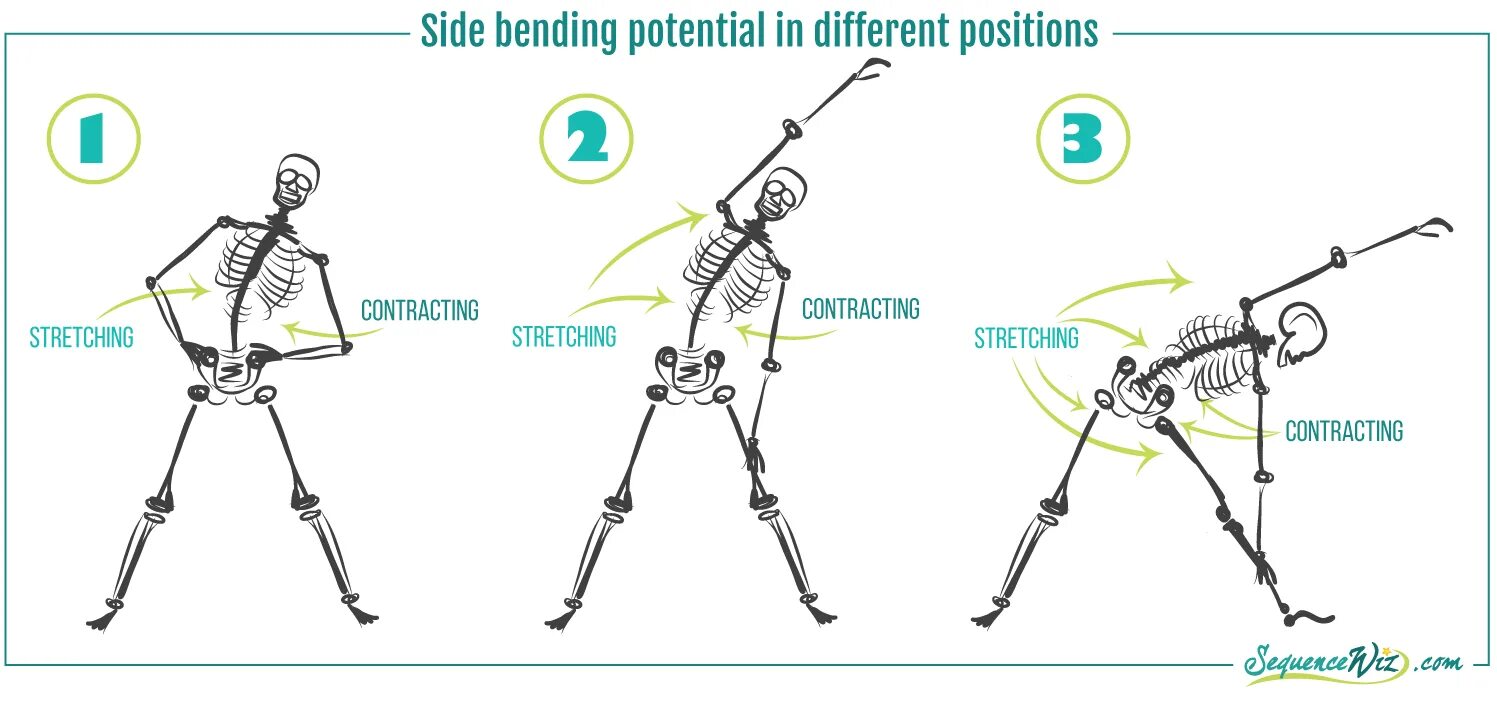 Different position. Бендинг. side bending. side-by-side что значит. side by side position.