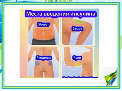 Коля бедро