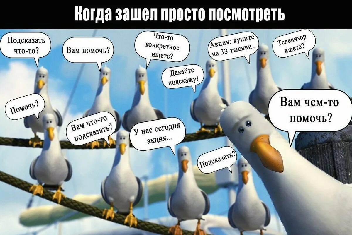 Шутка про дав