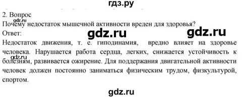 Недостаток мышечной активности современного