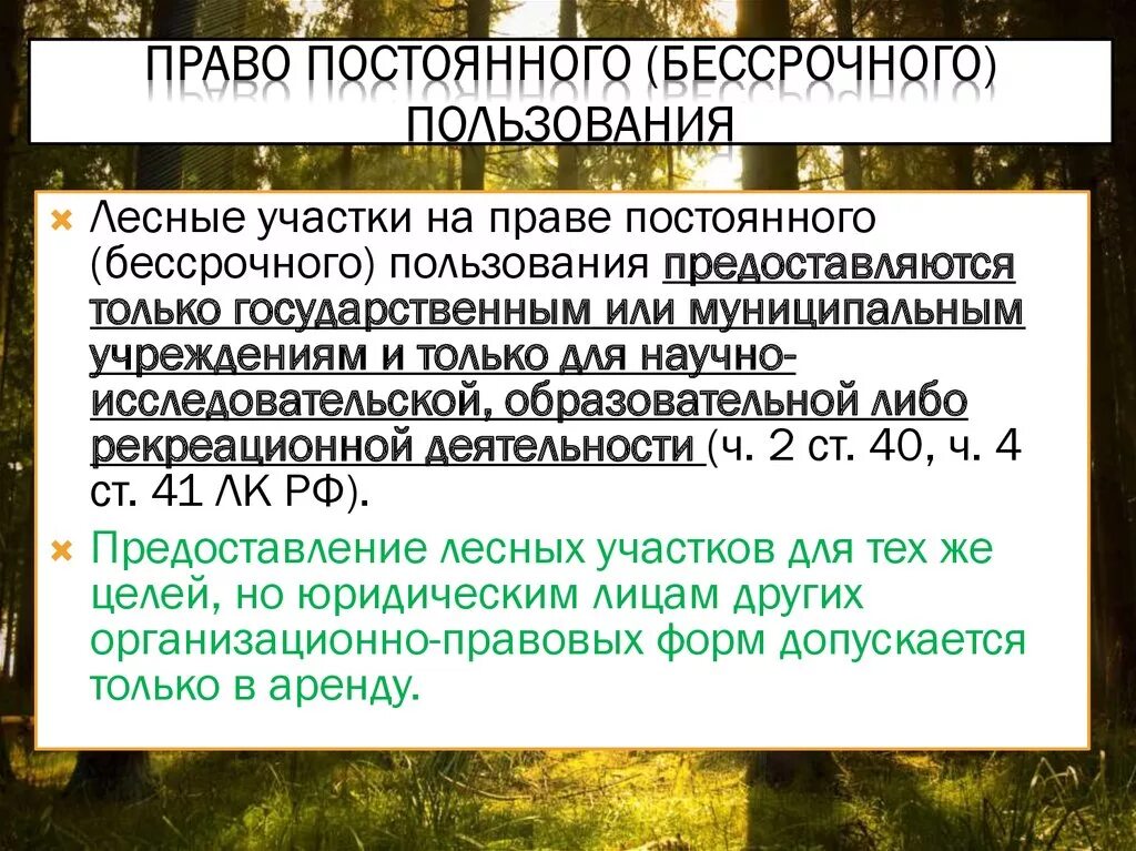 предоставление участка в постоянное бессрочное пользование
