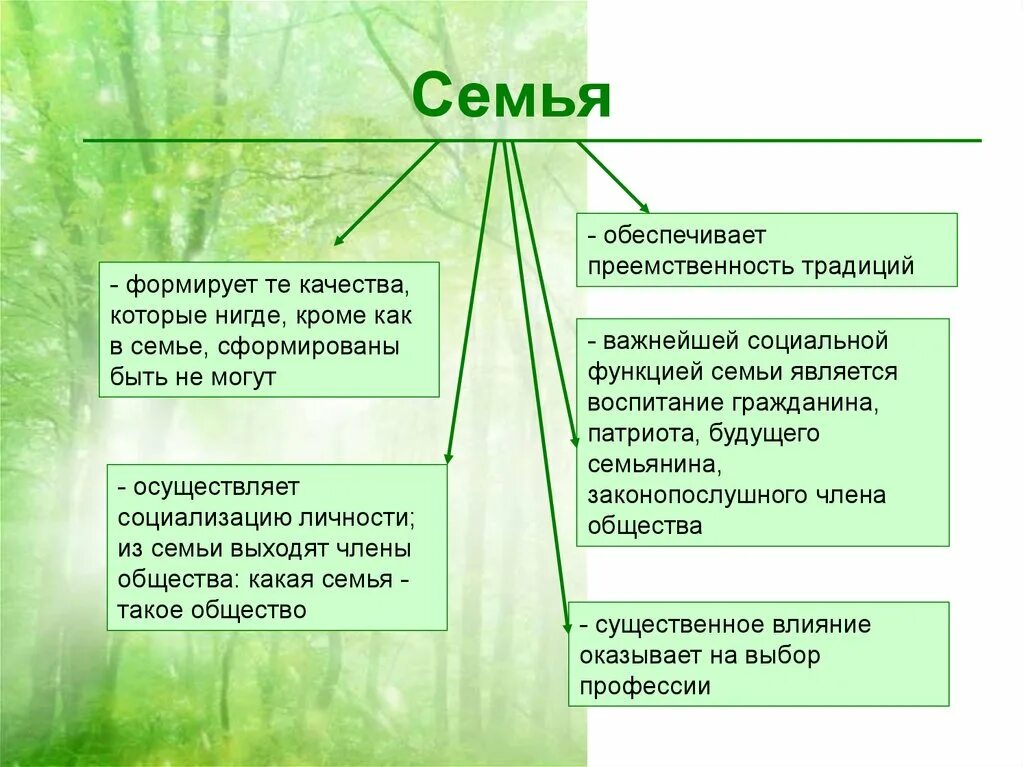 Семья в условиях социальных изменений. Формирование личности в семье. Воспитание личности в семье. Социализация ребенка в семье. Принципы семейного воспитания детей.