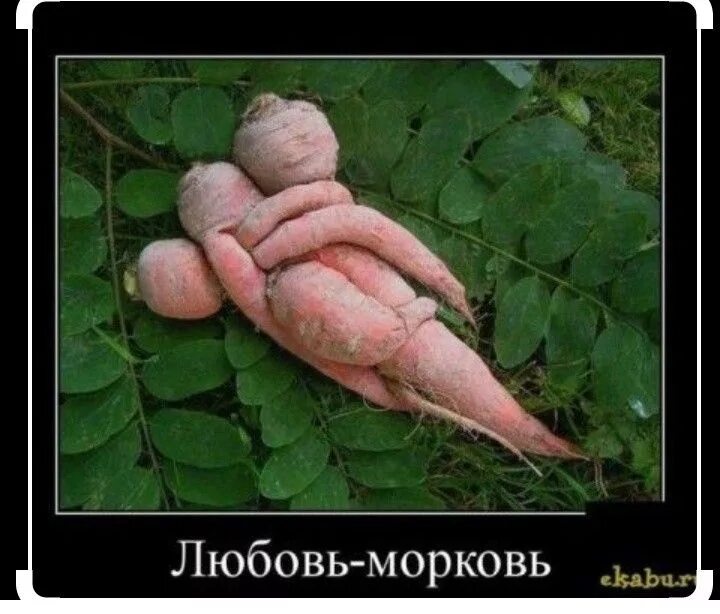Морковь про страшные