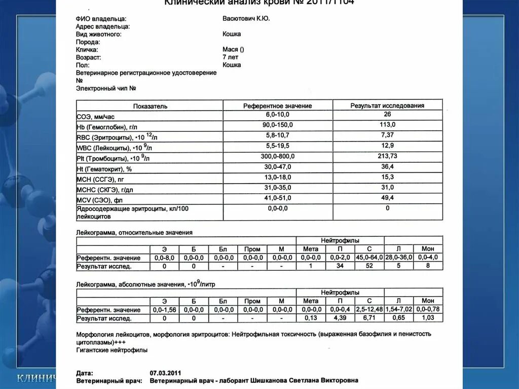 Интерпретация результатов общего анализа