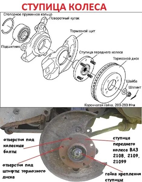 Схема ступицы колеса. Конструкция ступицы переднего колеса. Строение ступицы переднего колеса. Ступица Приора схема крепления колеса. VAG a4 передняя ступица устройство.