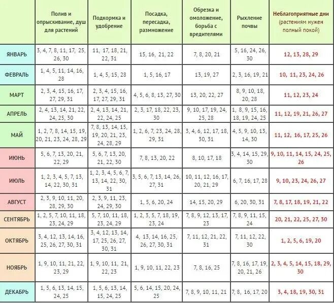 Можно ли сажать сегодня по лунному календарю. Календарь лунный на 2021 года для комнатных растений пересадка. Календарь пересадки комнатных растений 2021. Лунный календарь полива комнатных растений на 2022 год таблица. Лунный календарь комнатных растений на 2021 год.