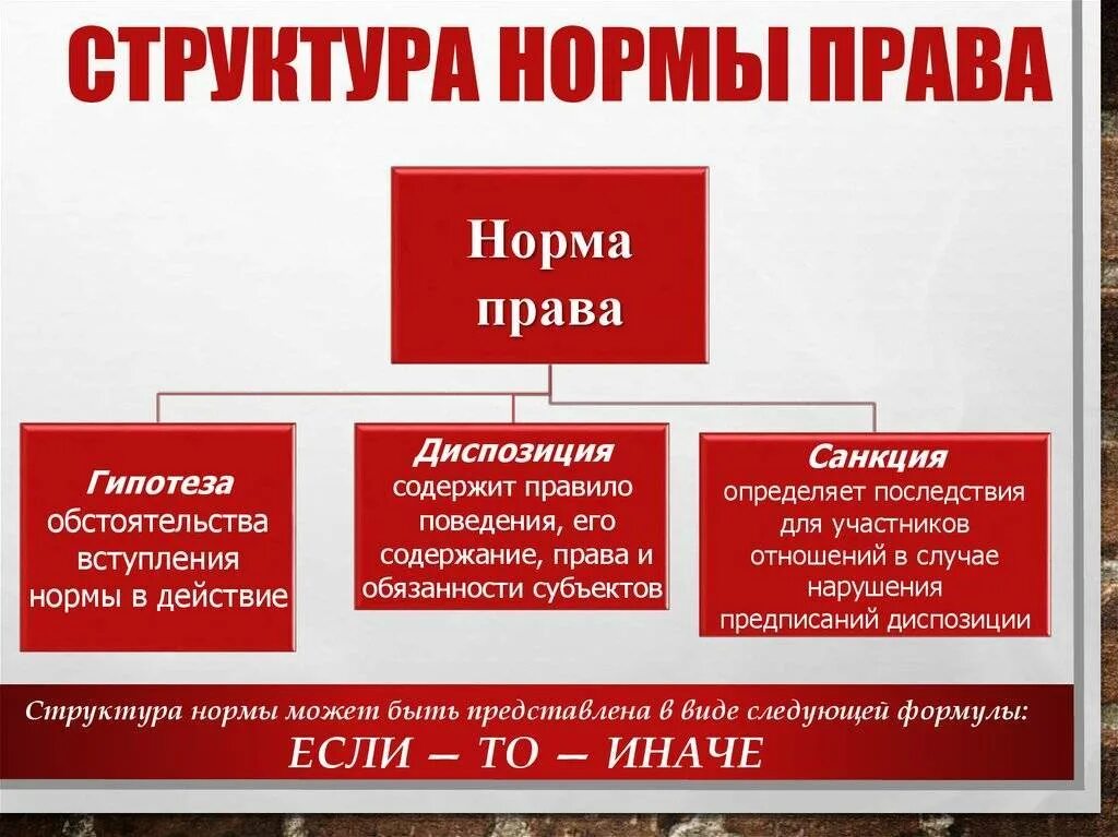 Определите элементы структуры правовой нормы