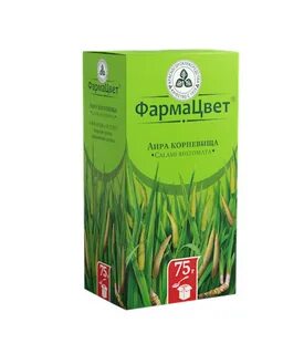 Дуб аптека