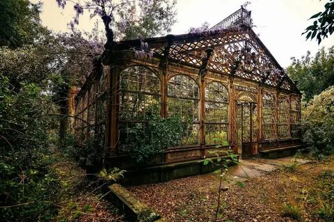 Old garden