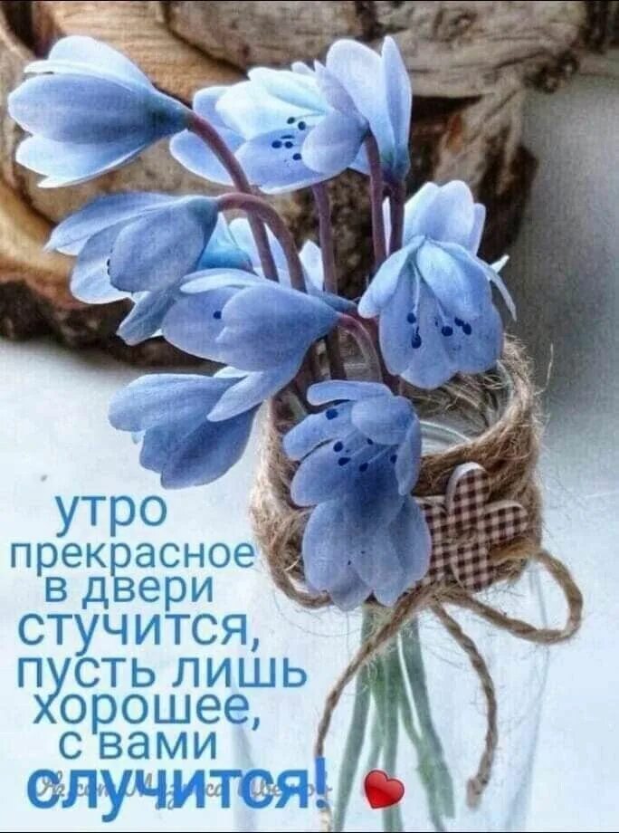 Жизнь продолжается доброго дня