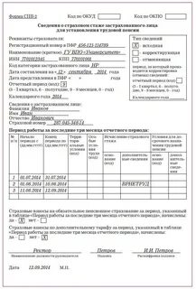 Сведения о трудовом стаже застрахованных лиц