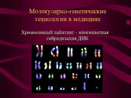 Уровни генетики