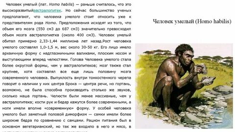 Человек умелый рост