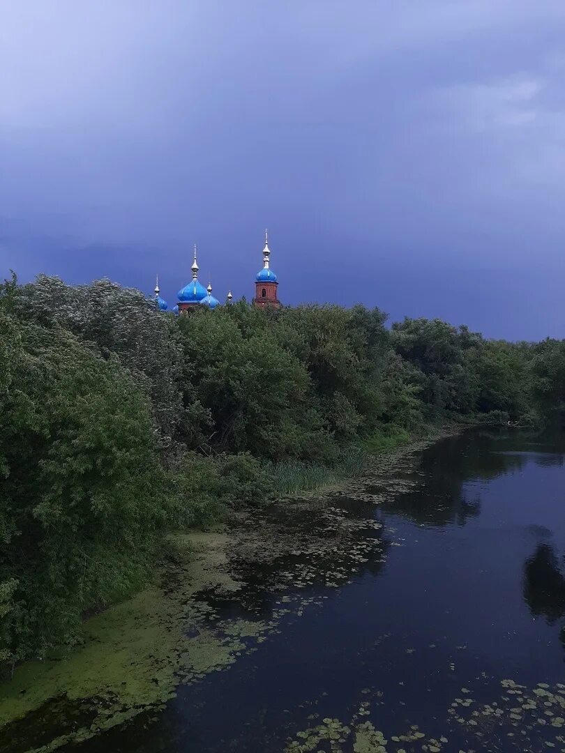 Саратовская область отзывы. Река медведица петровск саратовская область. река медведица петровск. река медведица саратовская область. река медведица саратов.