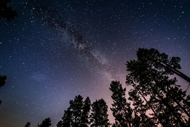 Неприятные небеса. В полночь Вселенная пахнет звездами. Запах звезд. Запах неба.